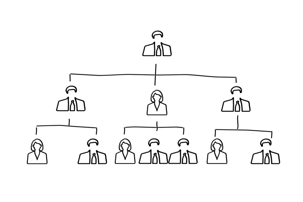 organization chart, executive, staff-3558622.jpg